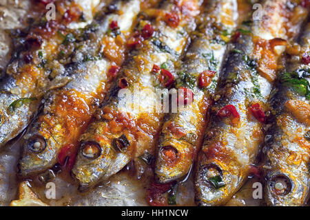 Sardine grigliate sulla placca da forno Foto Stock