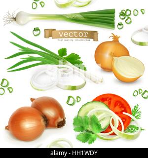 Onion imposta, realistiche icone vettoriali Illustrazione Vettoriale