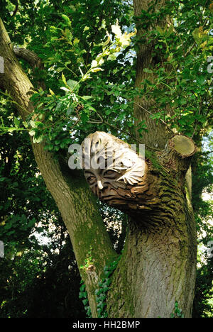 Il carving del capo di un uomo su un ramo di un albero. Foto Stock