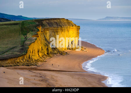 West Bay, Dorset, Regno Unito. 15 gennaio, 2017. Regno Unito Meteo. Una piccola patch di sole illumina le scogliere dorate a Burton Bradstock, visto da East Cliff West Bay nel Dorset su un nuvoloso pomeriggio. Credito Foto: Graham Hunt/Alamy Live News Foto Stock