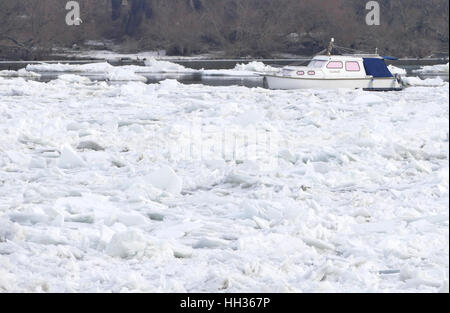 A Belgrado, in Serbia. 16 gennaio, 2017. Intrappolati in barca congelata di fiume Danubio a Belgrado in Serbia Credito: Ognjen Stevanovic/Alamy Live News Foto Stock