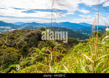 Colline in Cameron Highlands in presenza di luce solare, Malaysia Foto Stock