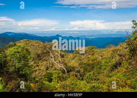 Colline in Cameron Highlands in presenza di luce solare, Malaysia Foto Stock