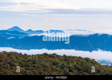 Sunrise sulle misty jungle in Cameron Highlands, Malaysia Foto Stock