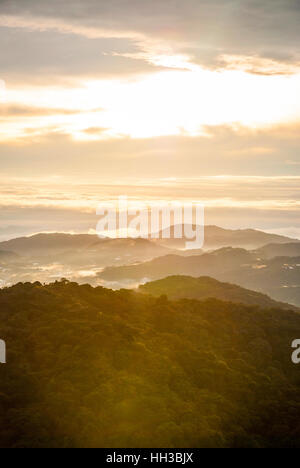 Alba sul Gunung Brinchang misty jungle in Cameron Highlands, Malaysia Foto Stock