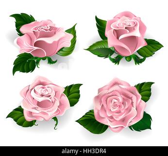 Set di rose dipinte di quarzo rosa colore, con foglie verdi su sfondo bianco Illustrazione Vettoriale