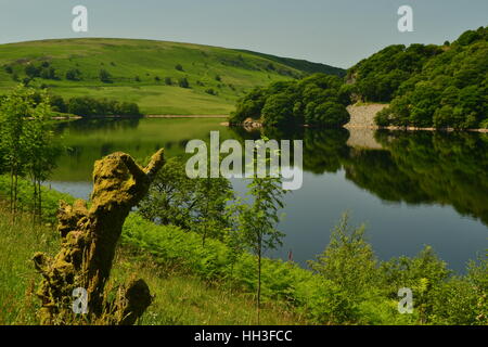 Un lago in una giornata d'estate in Valle Elan, Wales, Regno Unito con il ceppo di albero in primo piano Foto Stock