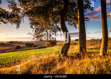 Tramonto sulla North Wessex Downs nel Wiltshire. Foto Stock
