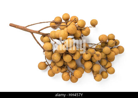 Longan fresco su sfondo bianco Foto Stock