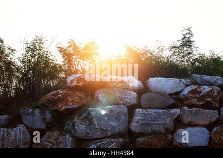 Il sole splende in giù su un muro di pietra. Foto Stock