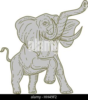 Mono stile linea illustrazione di un elefante africano scalpitano visto dal lato anteriore impostato su isolato sullo sfondo bianco. Illustrazione Vettoriale