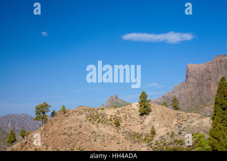 Centrale di Gran Canaria, area intorno a Cruz Grande Foto Stock