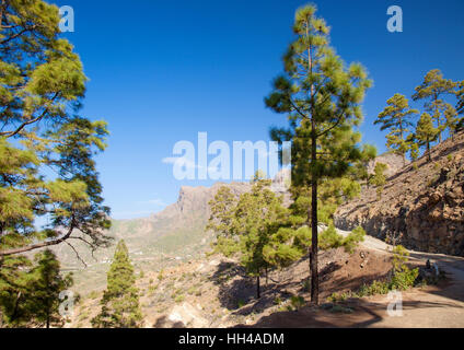 Centrale di Gran Canaria, area intorno a Cruz Grande Foto Stock