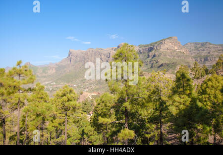 Centrale di Gran Canaria, area intorno a Cruz Grande scogliera Riscos de La Plata Foto Stock