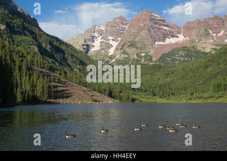 Maroon Lake (in primo piano), Maroon Bells picchi (fondo), Maroon Bells Scenic Area, Colorado, STATI UNITI D'AMERICA Foto Stock