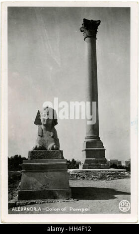 Alessandria, Egitto - Pompeo la colonna (pilastro) e di Sphinx. Foto Stock