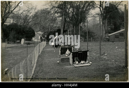 Royal Victoria Hospital Farm Colony, Polton, Scozia Foto Stock