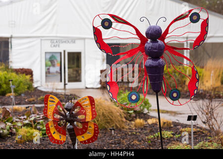 Farfalle ornamentali nel giardino presso il Glasshouse Cafe a RHS Garden Wisley, Woking, Surrey, Inghilterra Regno Unito nel mese di gennaio Foto Stock