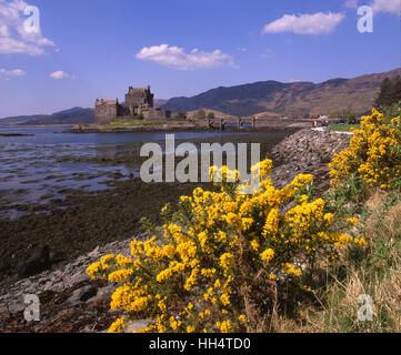 Vista la molla di Eilean Donan Castle e Loch Duich, NW Highlands Foto Stock