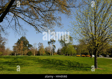 Vista del nono verde a Braintree Golf Club Essex Inghilterra Foto Stock