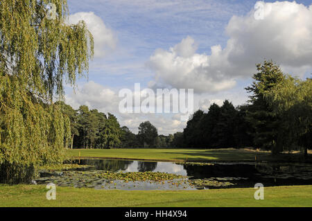 Vista sul laghetto sul foro xvi indietro lungo il fairway, Camberley Heath Golf Club Surrey in Inghilterra Foto Stock