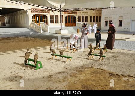 Situato nel centro di Doha, il Falcon Souq è un mercato di vendita di vivere falcon uccelli e attrezzature di falconeria Foto Stock