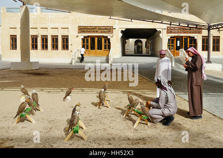 Situato nel centro di Doha, il Falcon Souq è un mercato di vendita di vivere falcon uccelli e attrezzature di falconeria Foto Stock