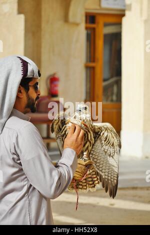 Situato nel centro di Doha, il Falcon Souq è un mercato di vendita di vivere falcon uccelli e attrezzature di falconeria Foto Stock