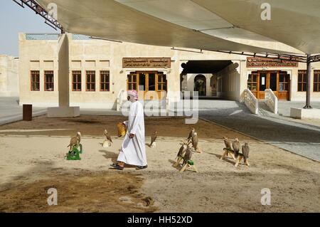 Situato nel centro di Doha, il Falcon Souq è un mercato di vendita di vivere falcon uccelli e attrezzature di falconeria Foto Stock