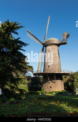 Il mulino a vento olandese e la regina Wilhelmina Tulip Garden al Golden Gate Park di San Francisco Foto Stock