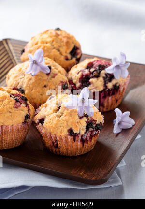 Nero in casa berry muffin. Muffin con ribes nero per la festa della mamma colazione sulla lavanda pastello colore di sfondo Foto Stock