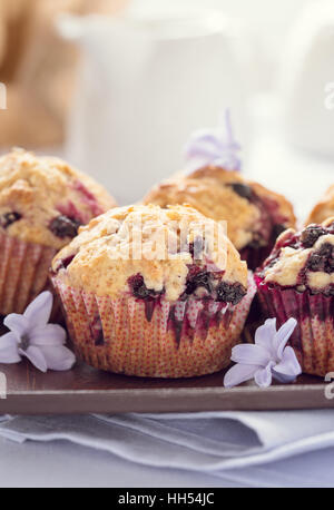 Nero in casa berry muffin. Muffin con ribes nero per la festa della mamma colazione sulla lavanda pastello colore di sfondo Foto Stock