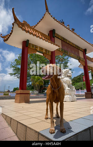 Giugno 17 , 2016 Panama City, Panama: 'Mirador de las Americas' un alto storico e valore simbolico monumento segna i 150 anni di presenza cinese in Pa Foto Stock