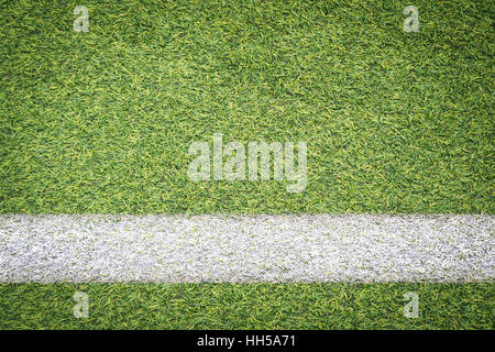 Striscia bianca sul campo di calcio Foto Stock