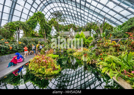 Singapore, giardini dalla baia, Mondo Perduto giardino all'interno della nube foresta gigante casa verde Foto Stock