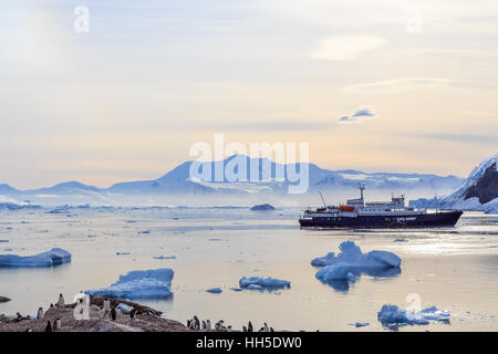 Antartico nave da crociera tra gli iceberg e pinguini Gentoo sulle rive della baia Neko, Antartide Foto Stock