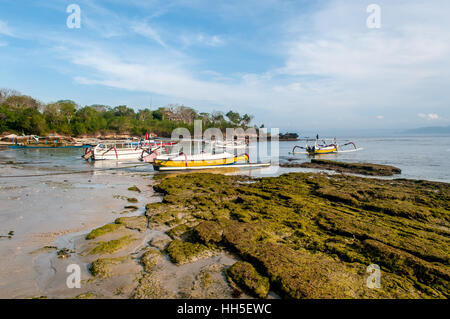 Tradizionale e diving imbarcazioni, Mushroom Beach, Lembongan, Bali, Indonesia Foto Stock