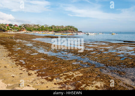 Tradizionale e diving imbarcazioni, Mushroom Beach, Lembongan, Bali, Indonesia Foto Stock