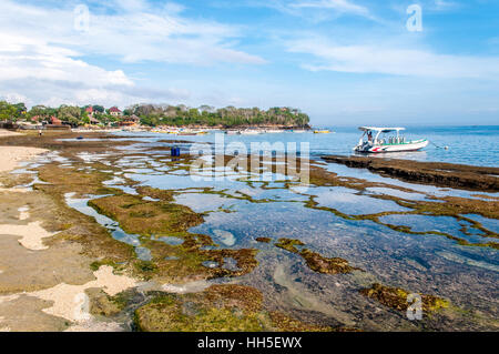 L'uomo la preparazione di attrezzature subacquee, fungo Beach, Lembongan, Bali, Indonesia Foto Stock