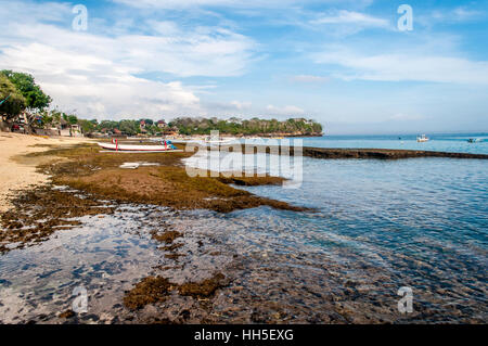 Tradizionale e diving imbarcazioni, Mushroom Beach, Lembongan, Bali, Indonesia Foto Stock