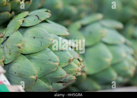 Carciofi Foto Stock