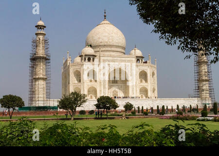 Vista del Taj Mahal che mostra i minareti in riparazione con i ponteggi intorno Foto Stock