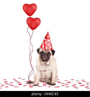 Bella carino pug cucciolo di cane seduto su coriandoli, indossando il cappellino e tenendo rosso a forma di cuore palloncini, isolati su sfondo bianco Foto Stock