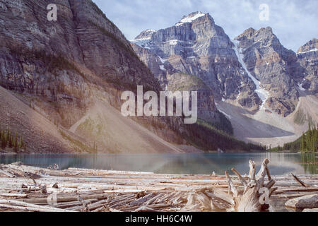 Log in il Lago Moraine, un glacially-lago alimentato vicino al Lago Louise, Alberta, Canada Foto Stock
