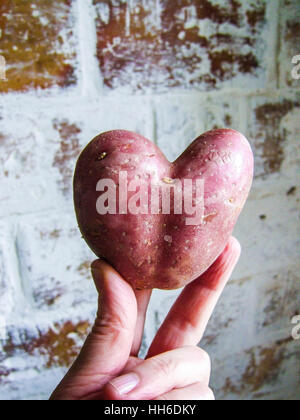 Donna di mani a forma di cuore ad potato Foto Stock