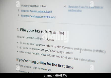 Autovalutazione per lavoratori autonomi persone e commercianti, file la dichiarazione dei redditi on-line Foto Stock