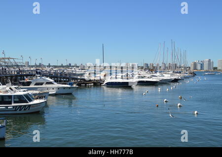 Yacht e barche ormeggiate presso la scenic porto di Punta del Este in Uruguay. Foto Stock