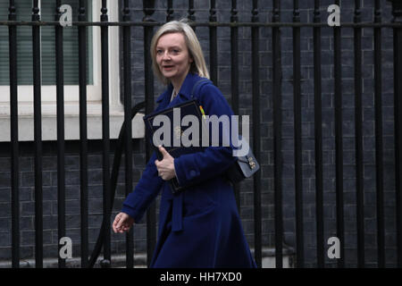 A Downing Street, Londra, Regno Unito. Il 17 gennaio 2017. Giustizia Segretario Liz Truss arriva a Downing Street per settimanale riunione del gabinetto. Credito: Dinendra Haria/Alamy Live News Foto Stock