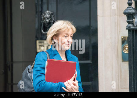 Londra, Regno Unito. Il 17 gennaio 2017. Andrea Leadsom, ambiente Segretario, foglie 10 di Downing Street. Credito: Ian Davidson/Alamy Live News Foto Stock