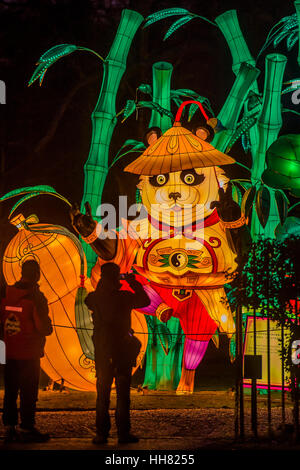 Londra, Regno Unito. Xvii gen, 2017. La lanterna magica festa giardini a Chiswick House dal 19 gennaio fino al 26 febbraio. I giardini ospitano la mostra che celebra il nuovo anno cinese. Il 2017 è l'anno del gallo. Sparso su 65 acri del Chiswick House site, ci sono più di cinquanta lanterne illuminate. Londra 17 gen 2017 Credit: Guy Bell/Alamy Live News Foto Stock